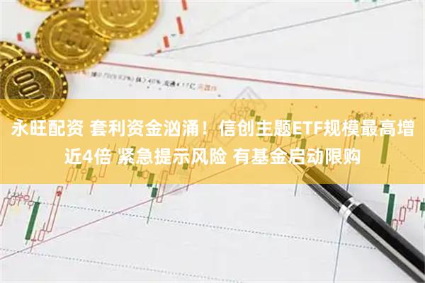 永旺配资 套利资金汹涌！信创主题ETF规模最高增近4倍 紧急提示风险 有基金启动限购