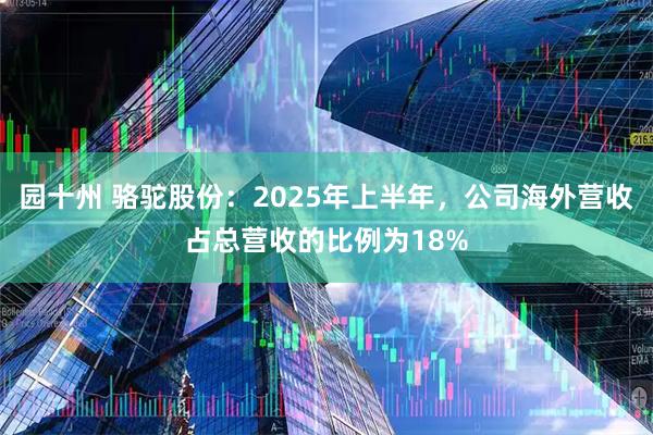 园十州 骆驼股份：2025年上半年，公司海外营收占总营收的比例为18%