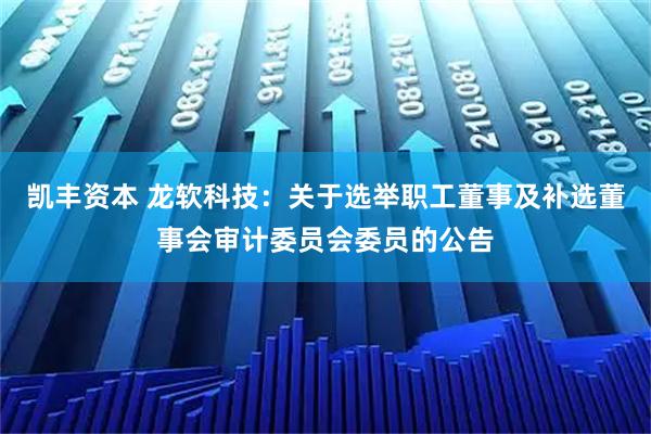 凯丰资本 龙软科技：关于选举职工董事及补选董事会审计委员会委员的公告