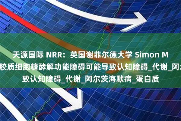 天源国际 NRR：英国谢菲尔德大学 Simon M Bell团队讨论星形胶质细胞糖酵解功能障碍可能导致认知障碍_代谢_阿尔茨海默病_蛋白质